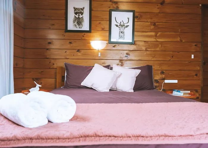 Holiday home 3 Bedroom Sleeps 6 Fast Wifi Free Parking Ideal For Families Or Longer Work Rotorua